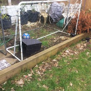 Garden before makeover